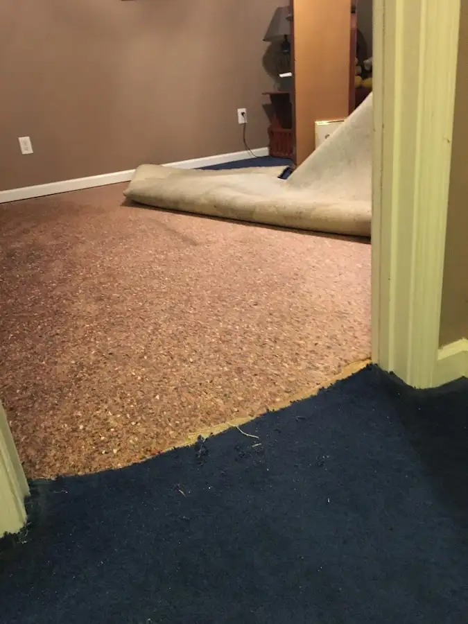 Carpet pad removal revealing water damage during Drying & Dehumidification in Norton